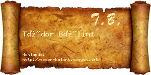 Tódor Bálint névjegykártya